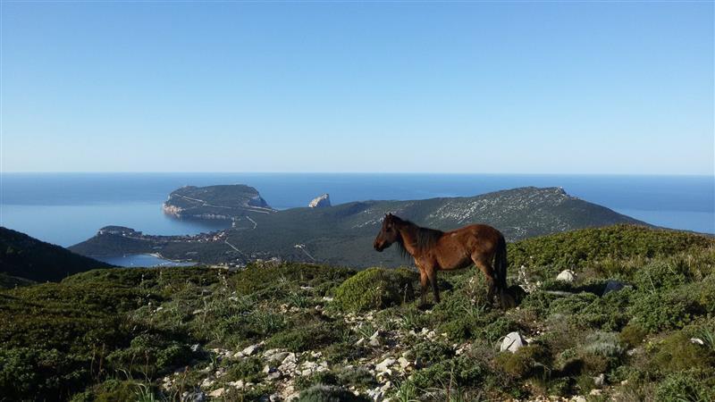 Rita b&b sea sun&nature Santa Maria la Palma Bagian luar foto